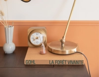 Lampe de bureau articulée noire abat jour noir intérieur doré