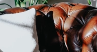 Canapé Chesterfield cuir 3 places marron vintage accoudoirs cloutés