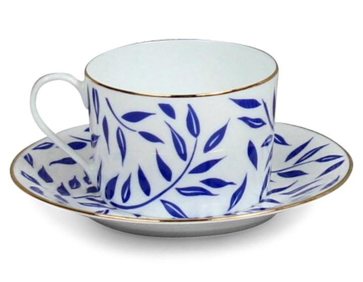 Teacup with porcelain saucer set of 2