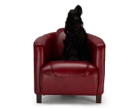 Fauteuil club cuir rouge carmin