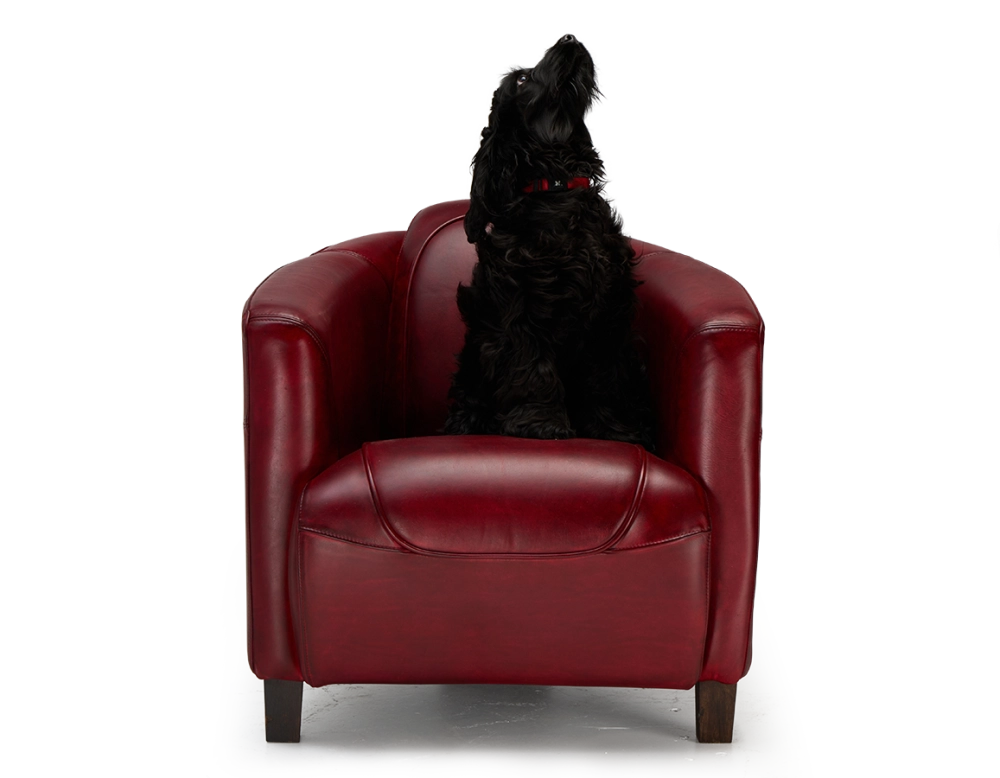 Fauteuil club cuir rouge carmin